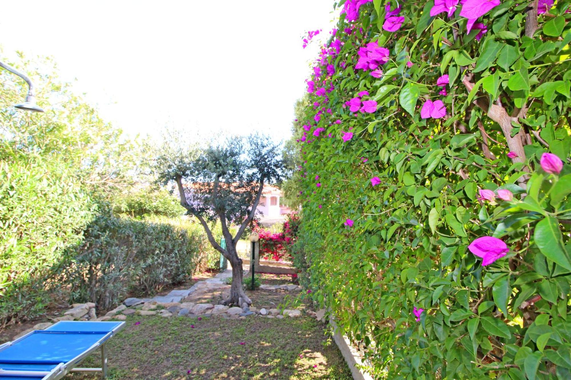Bilo Blu Holiday A 80 Metri Dal Mare Коста Рей Екстериор снимка