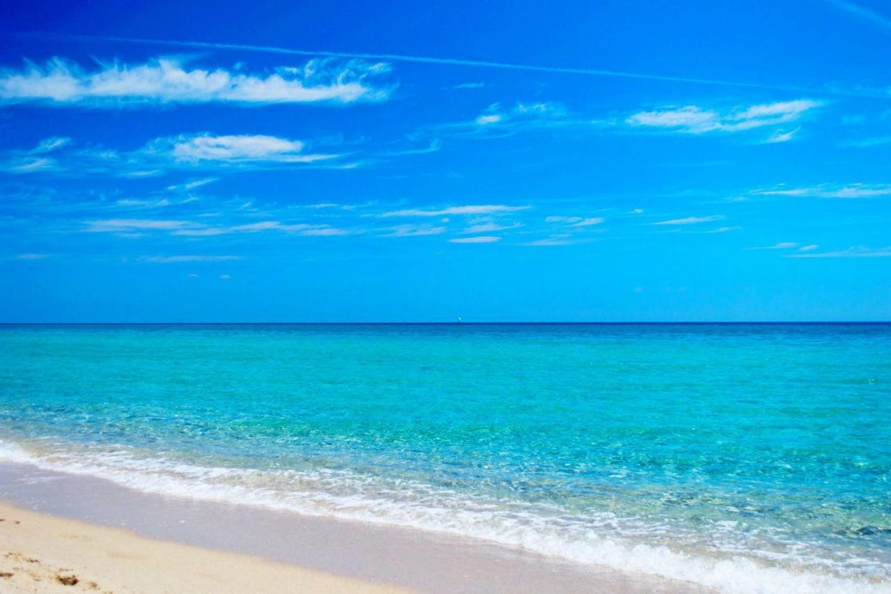 Bilo Blu Holiday A 80 Metri Dal Mare Коста Рей Екстериор снимка